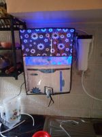 Zenaqua 9-Stage RO Water Purifier| 15 LPH| Indian Box Machine - Image 2